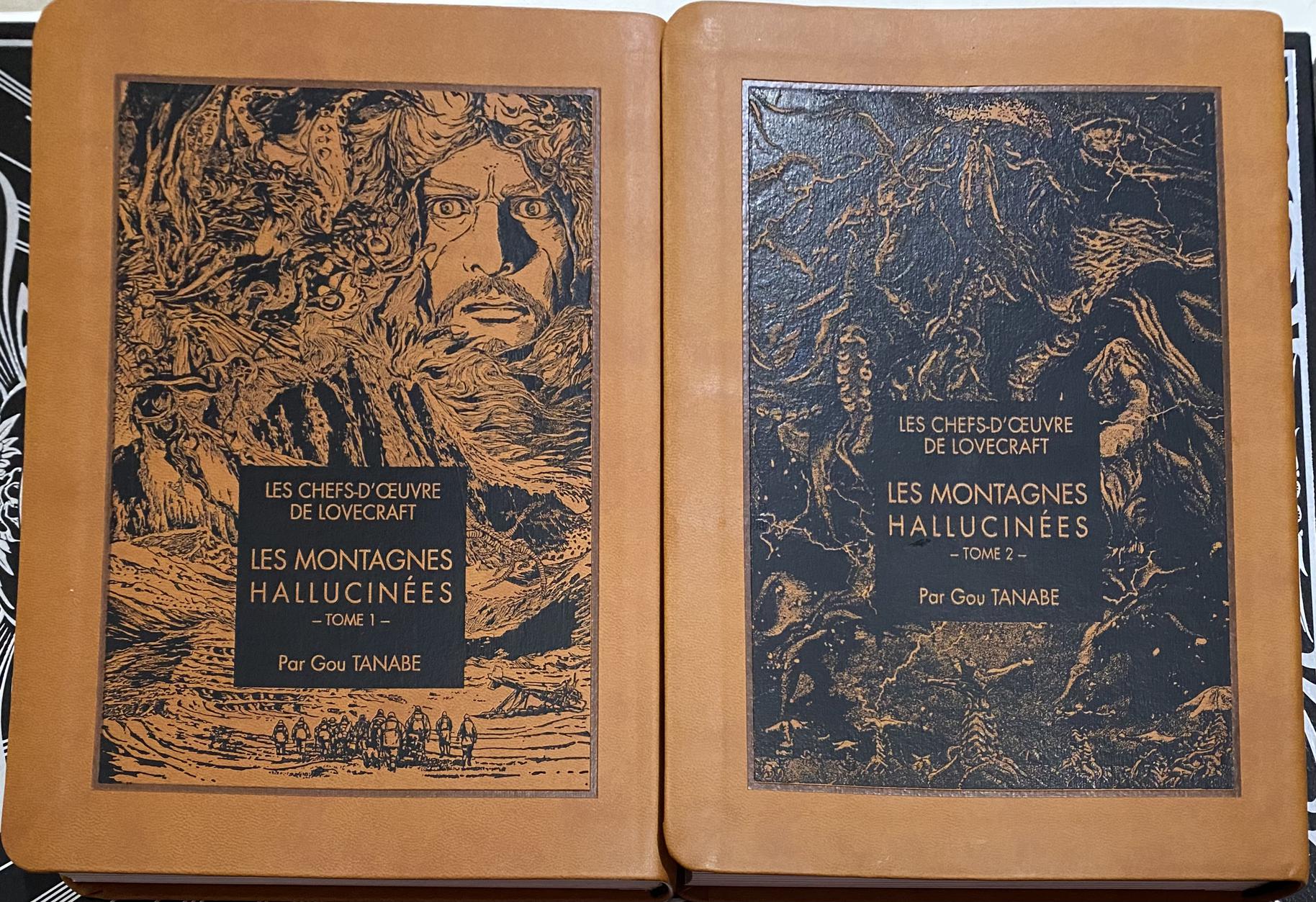 Les Montagnes Hallucinées