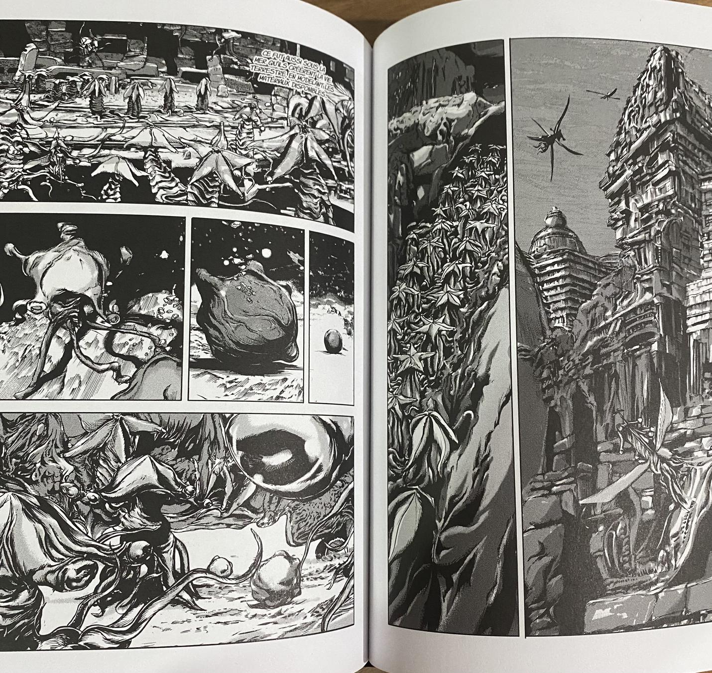 Les Montagnes Hallucinées