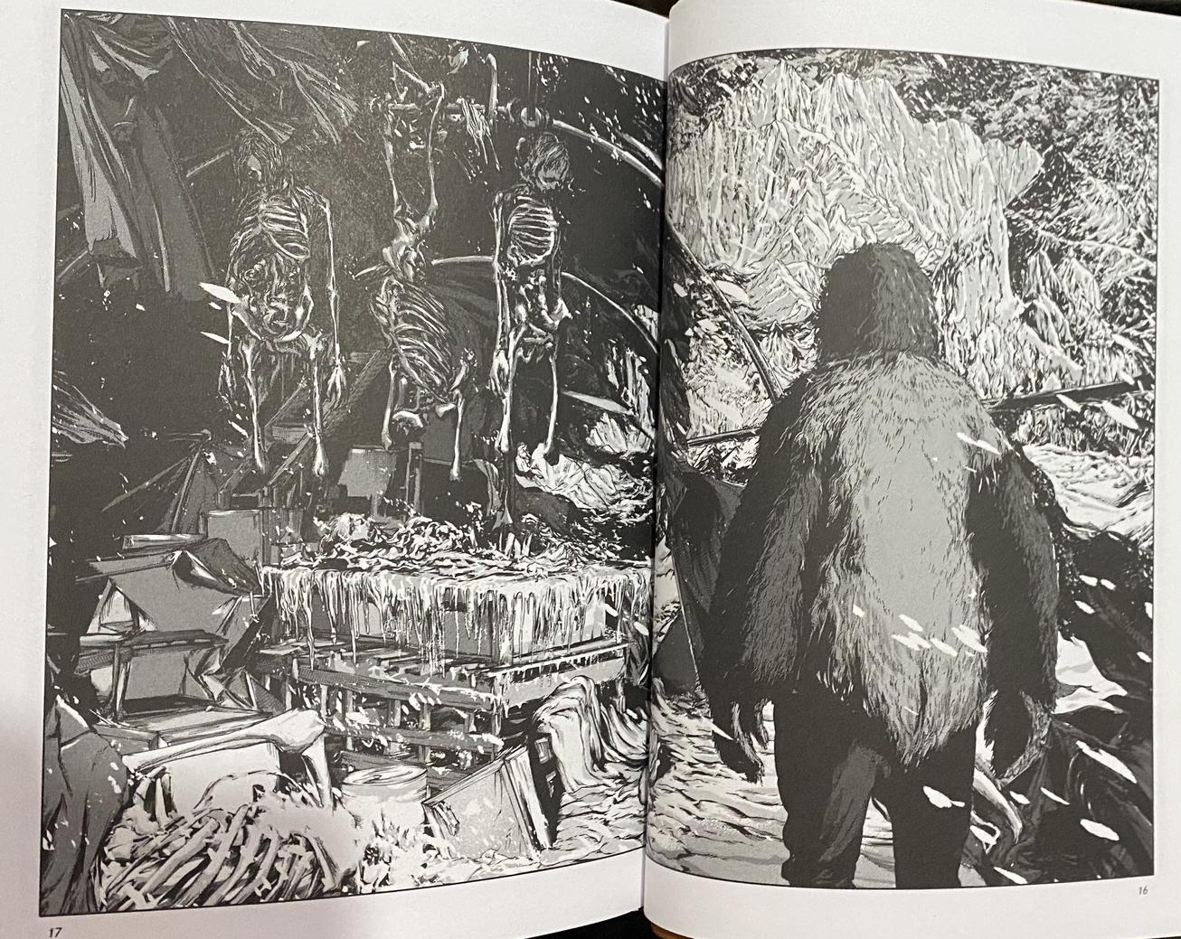 Les Montagnes Hallucinées